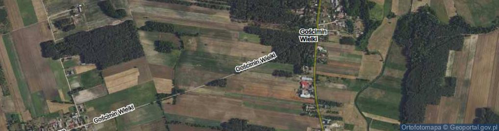 Zdjęcie satelitarne Gościmin Wielki ul.